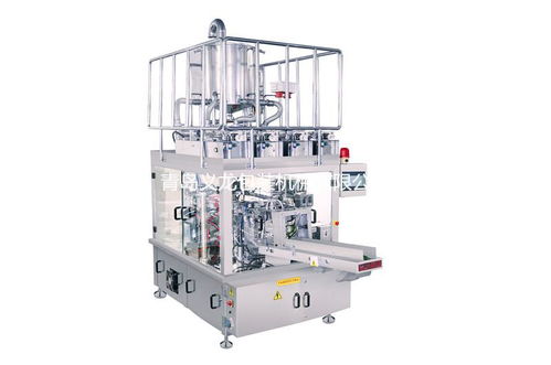 青岛义龙包装机械 YL 10ST 型给袋式包装机 生产厂家、价格及电脑办公设备租赁的综合指南